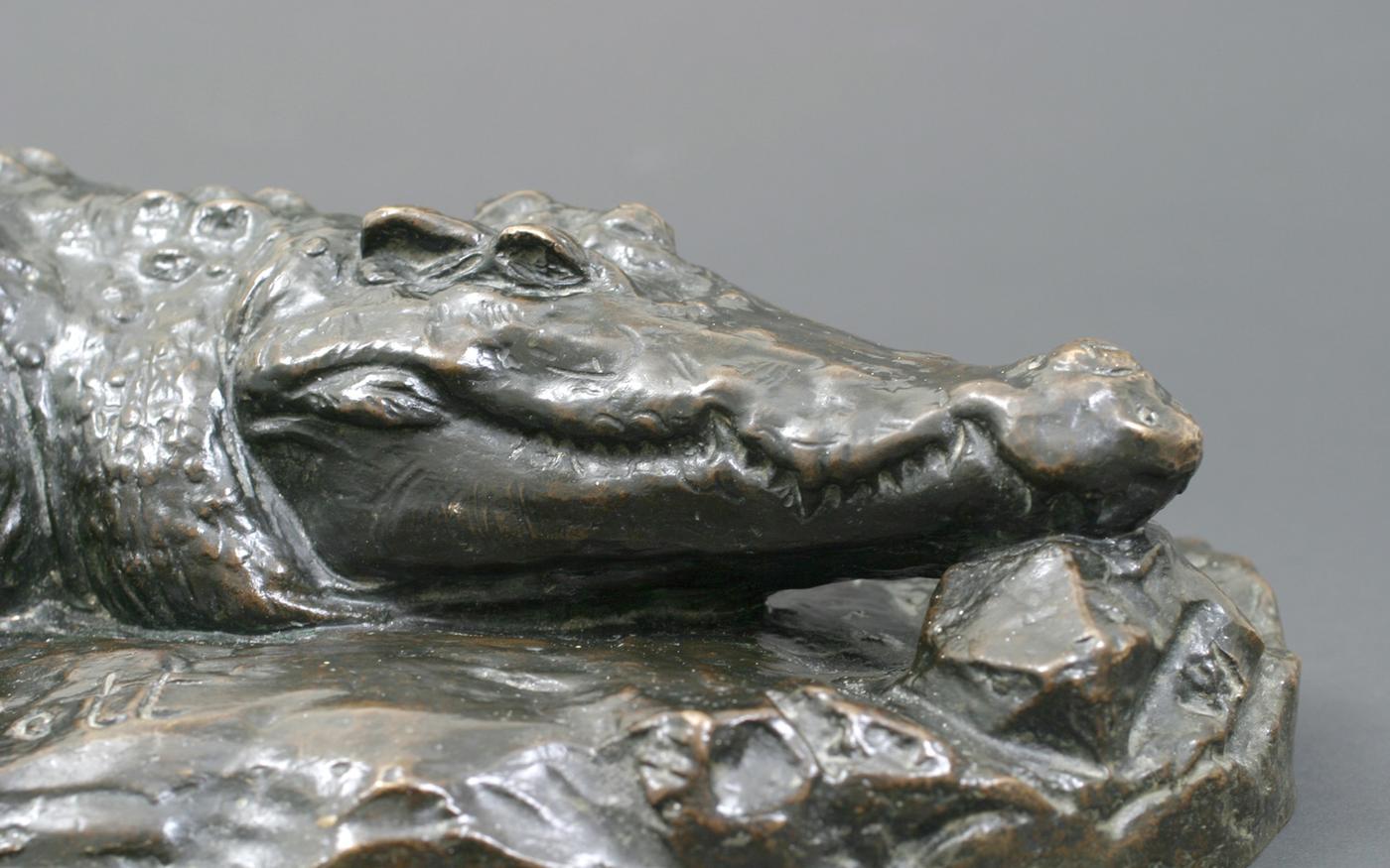 Paul W Bartlett, CROCODILE